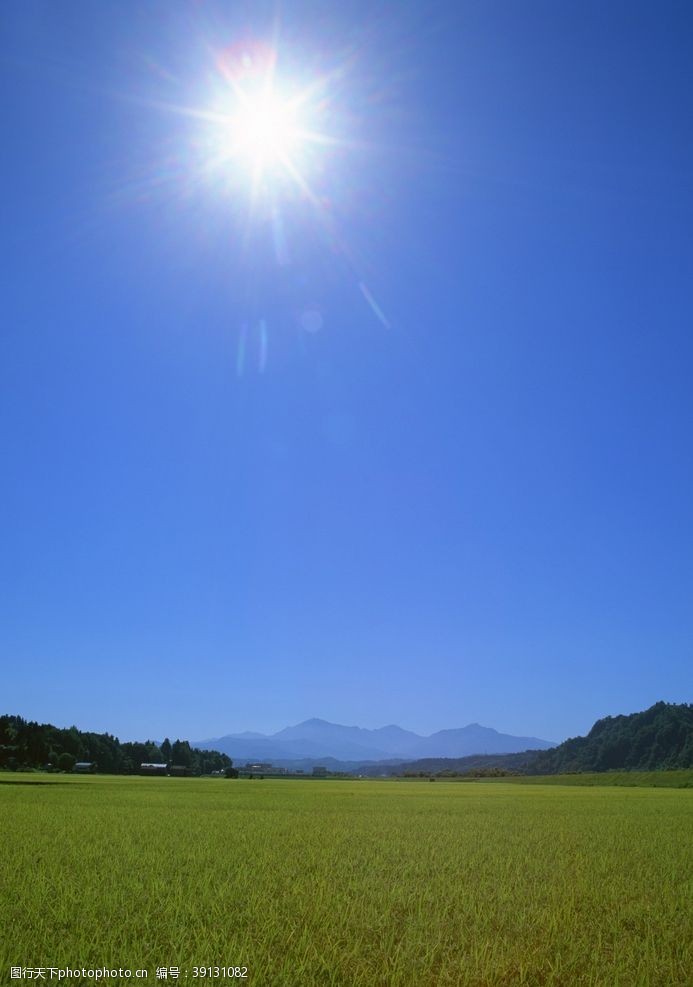 南植物园美景乡村田野图片