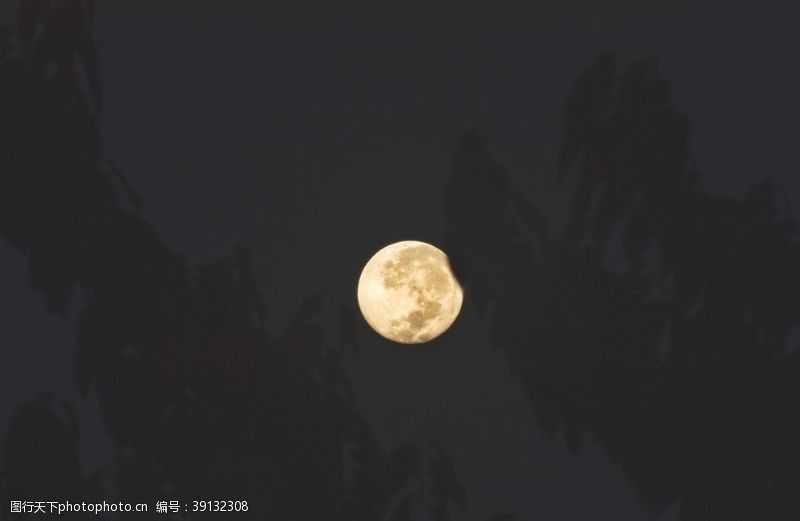 夜晚的天空月亮素材图片