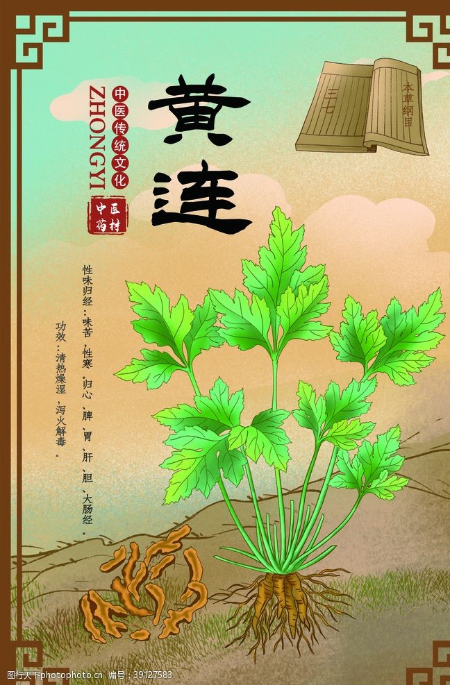 中医药文化中草药药材植物海报图片