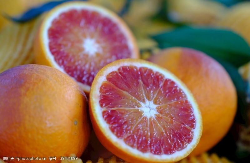 果园风光秭归血橙图片