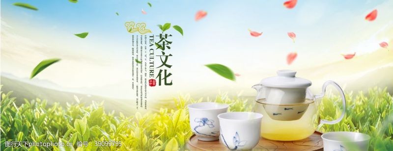 龙井茶叶图片