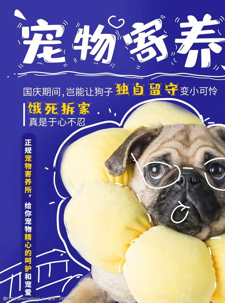 中国宠物网宠物寄养图片