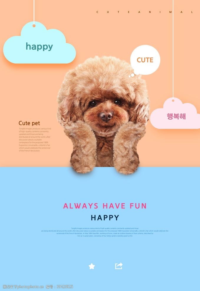 宠物店狗狗促销海报图片