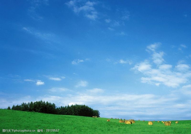 风景区蓝天白云湖泊草原牧场图片