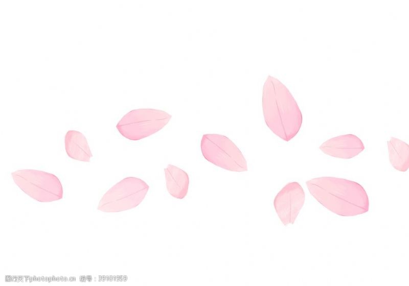 粉色背景飘落的花瓣图片