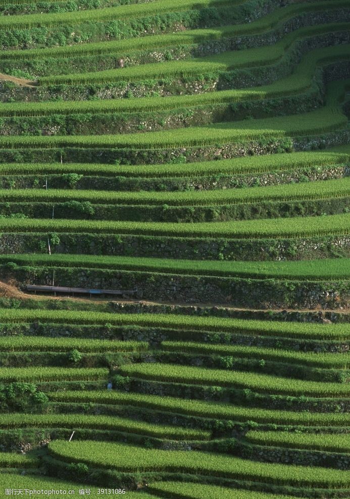 南植物园美景乡村田野图片