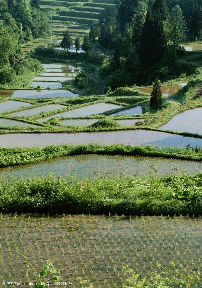 南植物园美景乡村田野图片