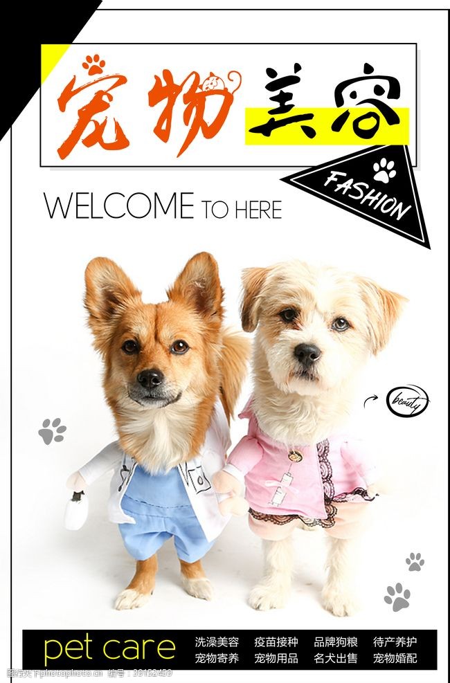 宠物店宠物美容海报图片