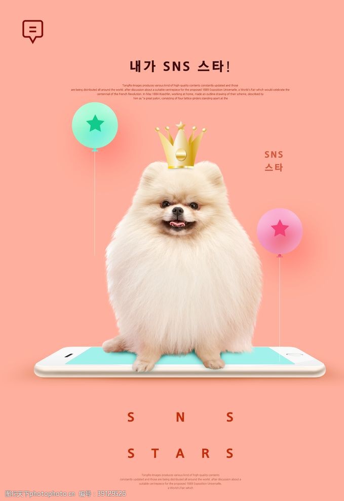 宠物用品折页狗狗促销海报图片