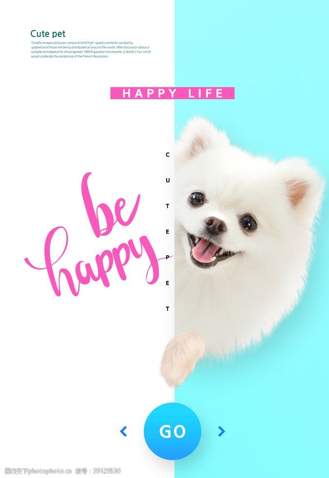 宠物店宣传单狗狗促销海报图片