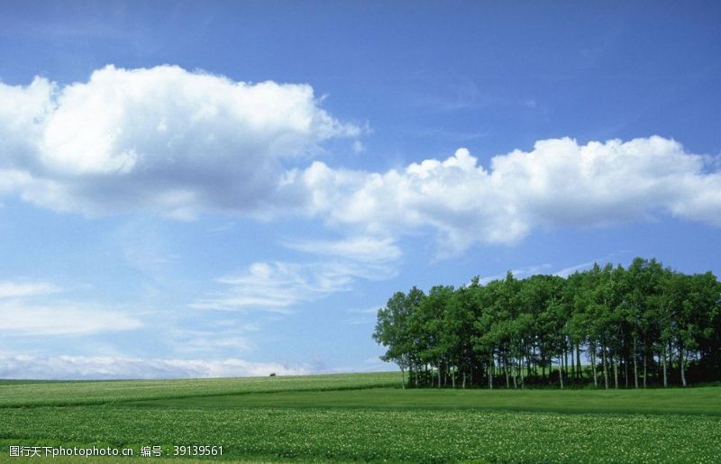 秀丽风景蓝天白云湖泊草原牧场图片