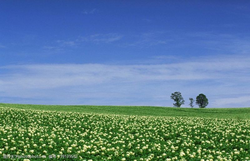 秀丽风景蓝天白云湖泊草原牧场图片