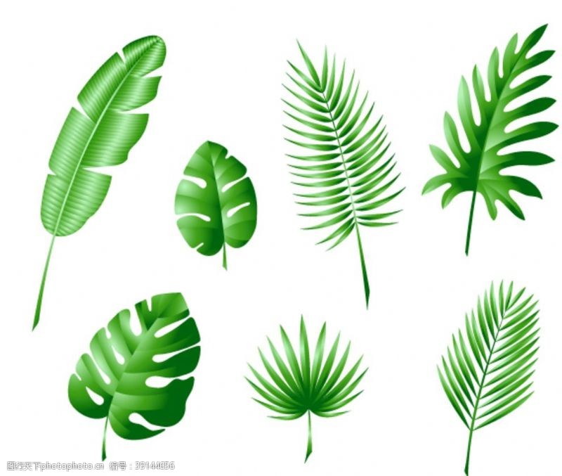 热带树叶贴纸绿色树叶图片