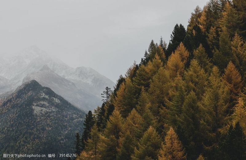 一片落叶秋天景色图片