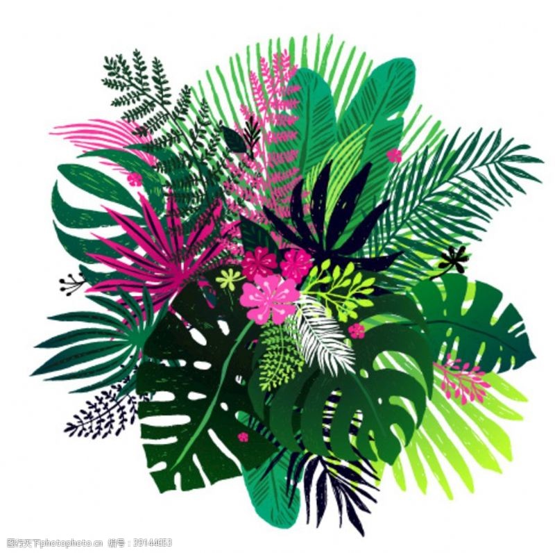 热带树叶贴纸树叶素材花束图片