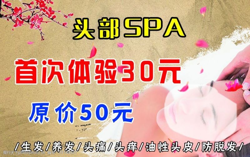 头部健康头部SPA图片