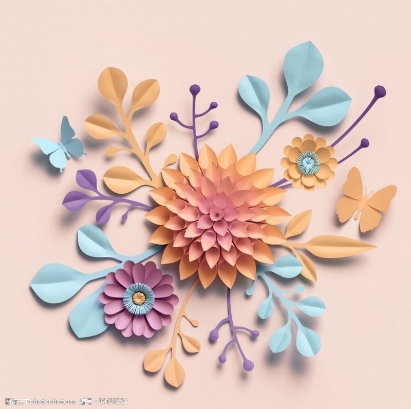 画框插画花卉图片