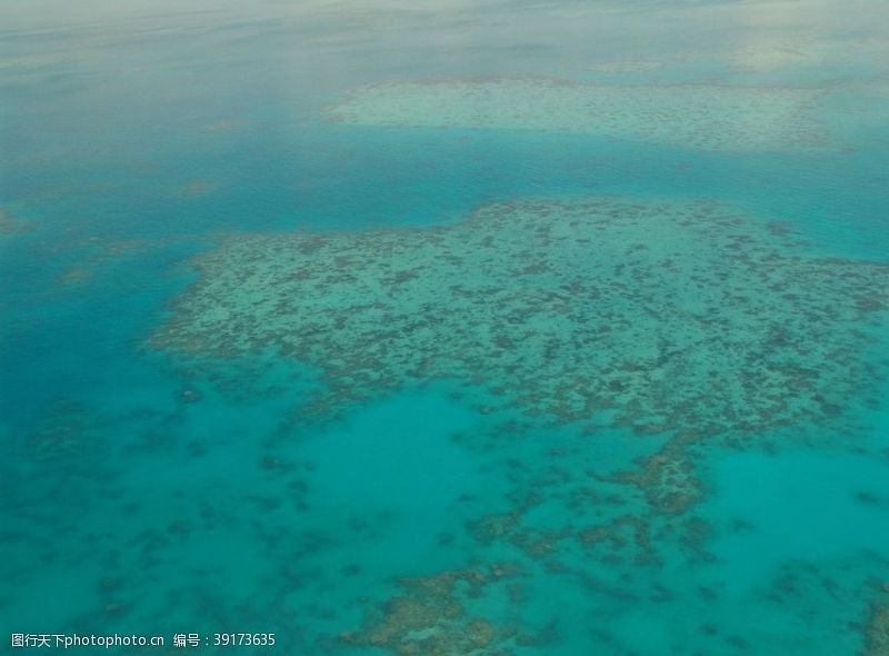 澳大利亚大堡礁图片