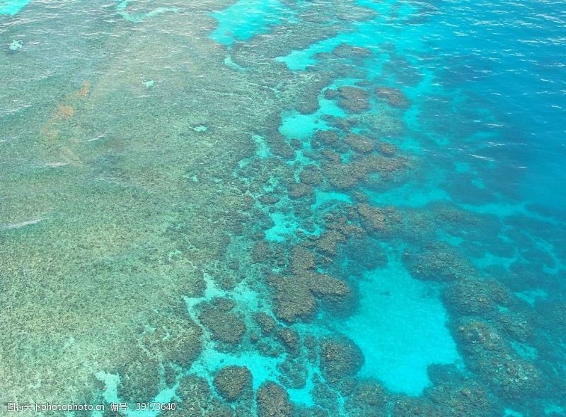 金太利大堡礁图片