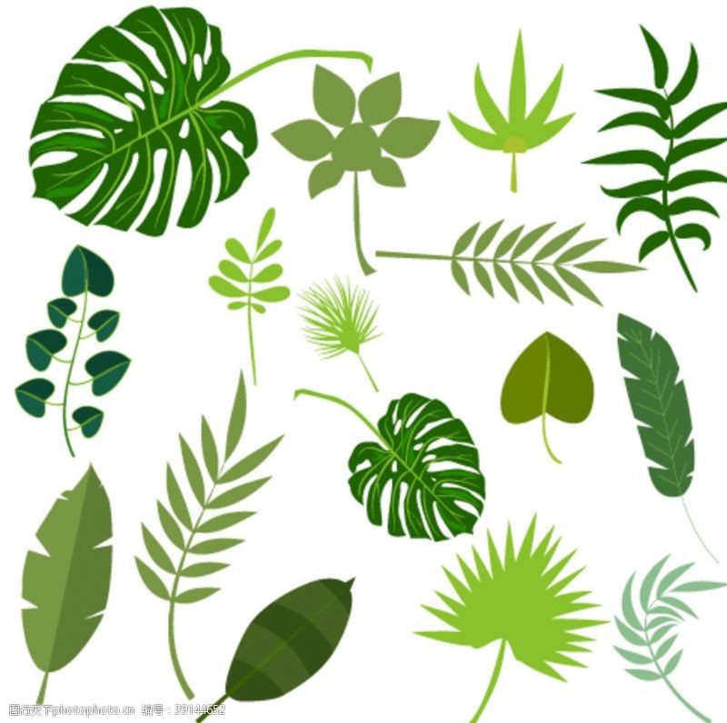 热带树叶贴纸绿色素材图片