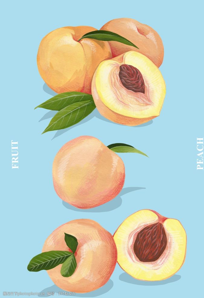 水果切面桃子手绘插画图片