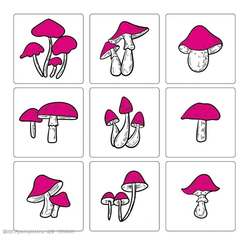 茶树菇线稿蘑菇图片