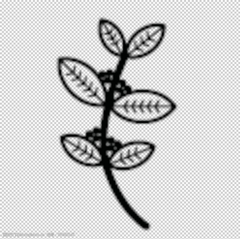 常用植物植物图标图片