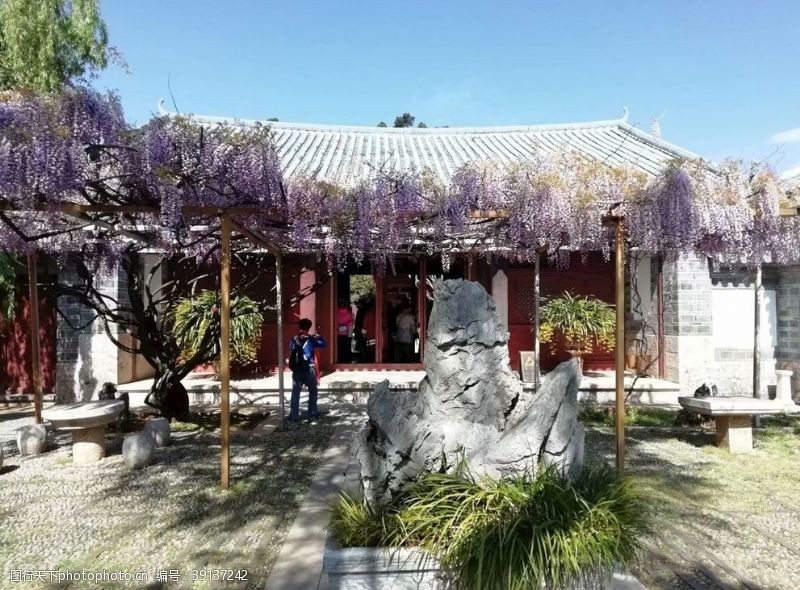 jpeg紫藤萝园子图片
